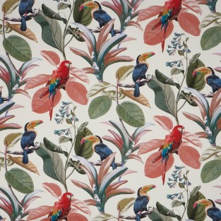 Prestigious Parakeet Papaya (pts114) Fabric